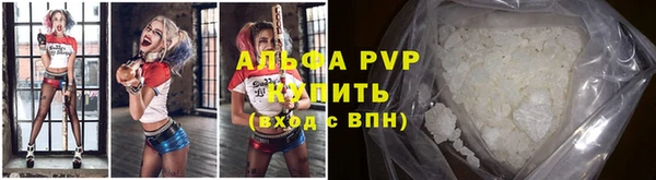 мяу мяу мука Аркадак