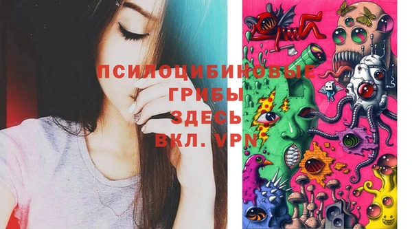мяу мяу мука Аркадак