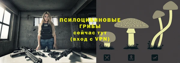 мяу мяу мука Аркадак