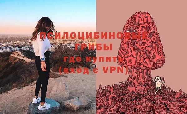 кокс Армянск