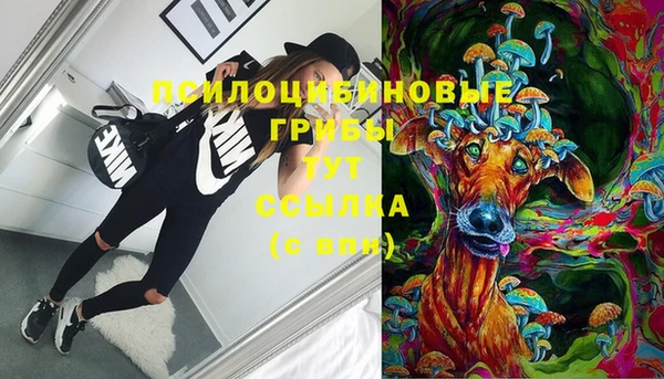 кокс Армянск