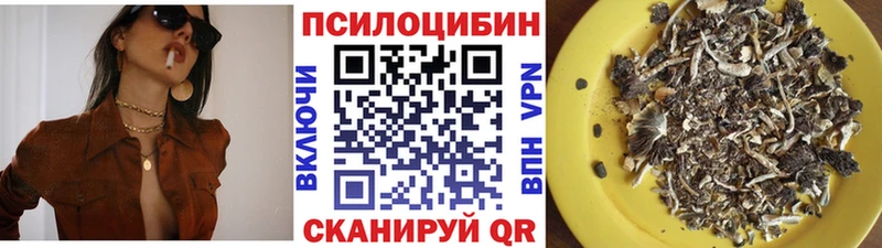 KRAKEN ссылка даркнет телеграм Сураж Галлюциногенные грибы Cubensis наркота