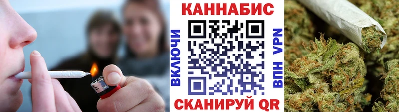 как найти закладки  Сураж  Бошки марихуана THC 21% 